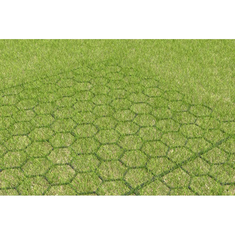 GREENPLAC® Plaque Consolidation pour gazon