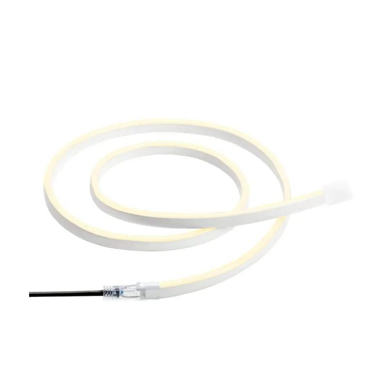 Kit bandeau LED avec transformateur - LightPro